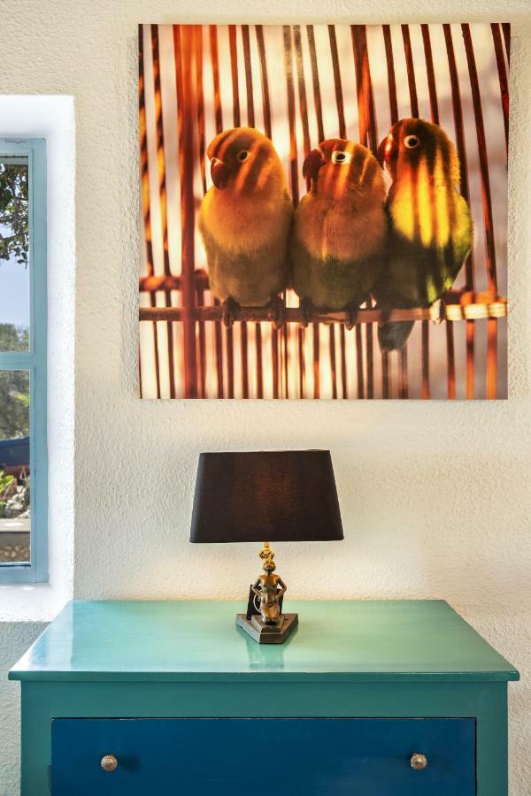 Riad Tamayourt Ocean View & Piscine Chauffee A 30 エッサウィラ エクステリア 写真